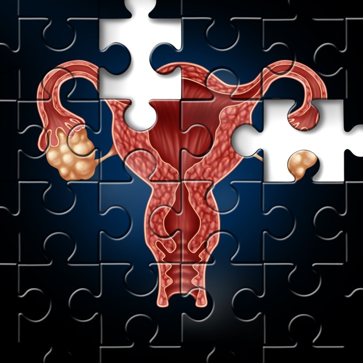 Un ovaire artificiel pour les problèmes de fertilité