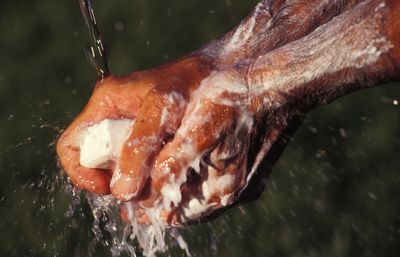 L’importance du lavage des mains